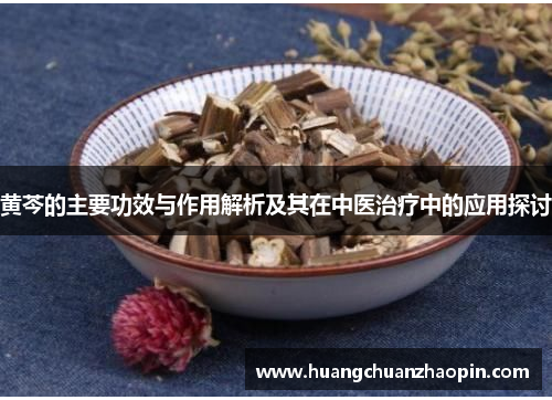 黄芩的主要功效与作用解析及其在中医治疗中的应用探讨 黄芩的主要功效与作用解析及其在中医治疗中的应用探讨